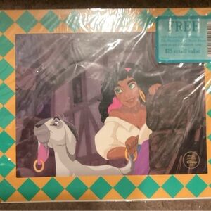 Disney The Hunchback of Notre Dame in Orange and Teal Print